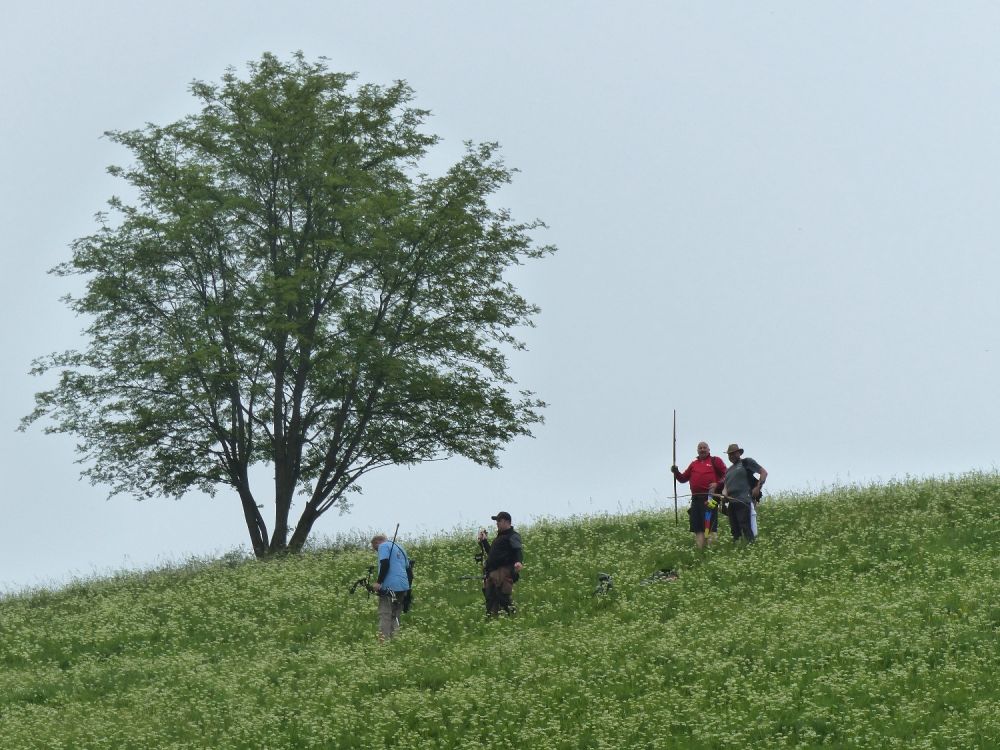 LM 3-D in Hohegeiß vom 02./03.06.2018