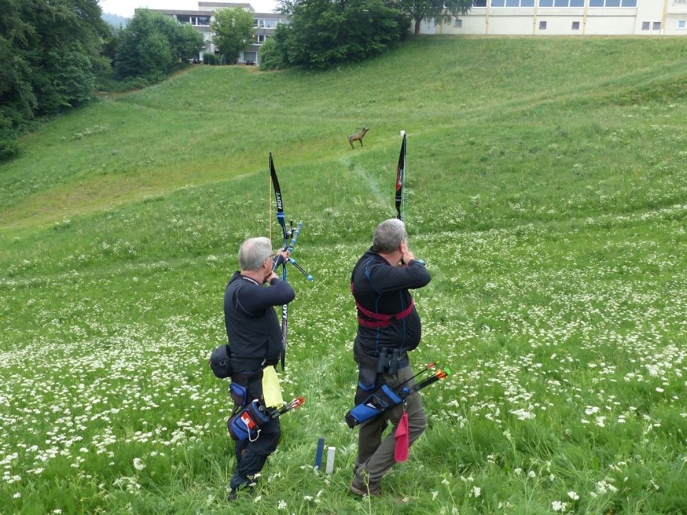 LM 3-D in Hohegeiß vom 02./03.06.2018